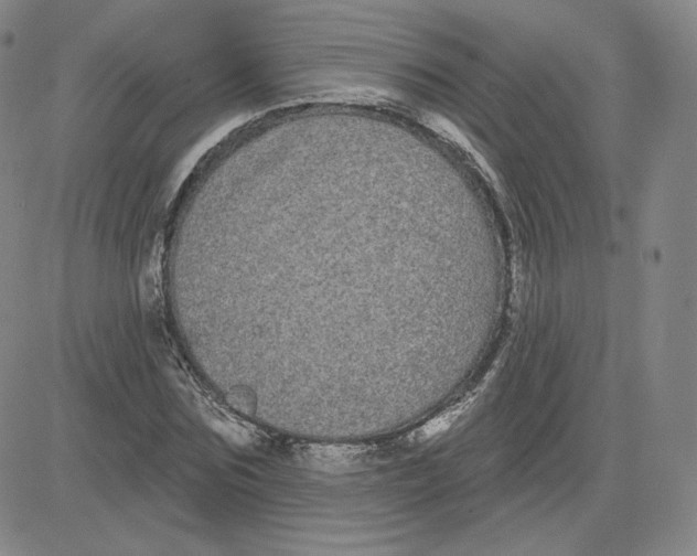 X0000080770875200701021119