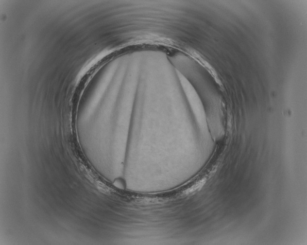 X0000080770877200701021119