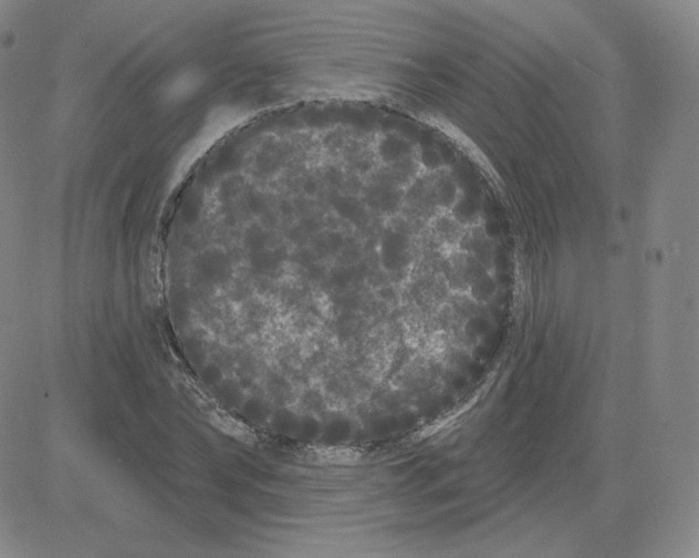 X0000080770878200701021118