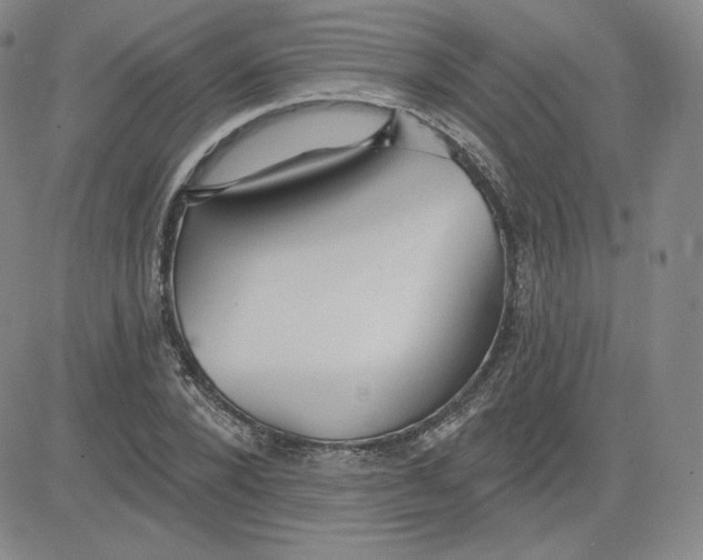 X0000080770880200701021118