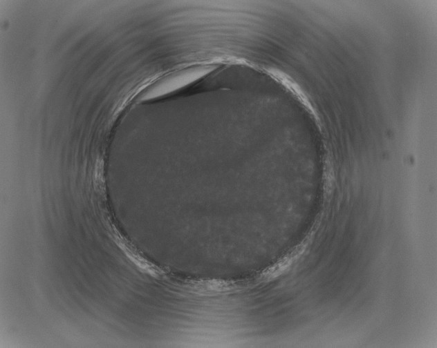 X0000080770881200701021118