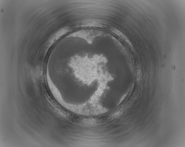 X0000080770882200701021118