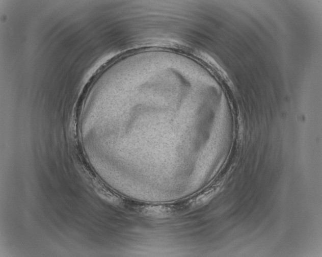 X0000080770883200701021118