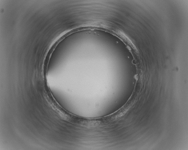 X0000080770884200701021118