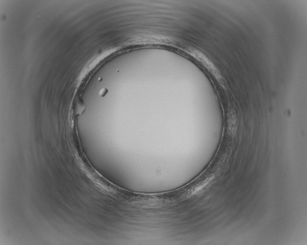 X0000080770885200701021118