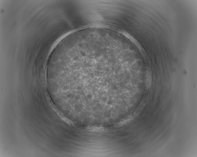 X0000080770886200701021118