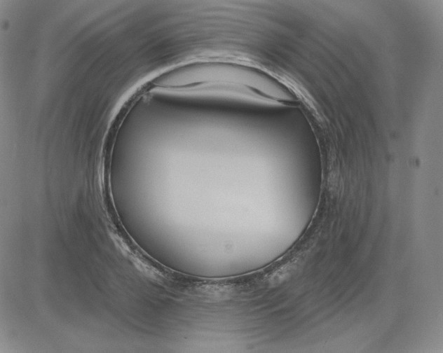 X0000080770888200701021118