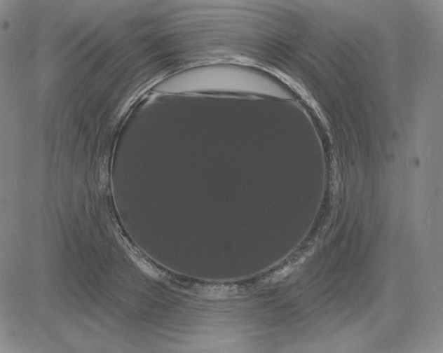 X0000080770889200701021118