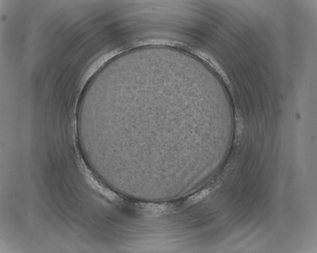 X0000080770890200701021118