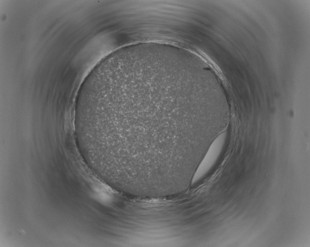 X0000080770891200701021118