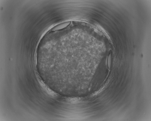 X0000080770892200701021118