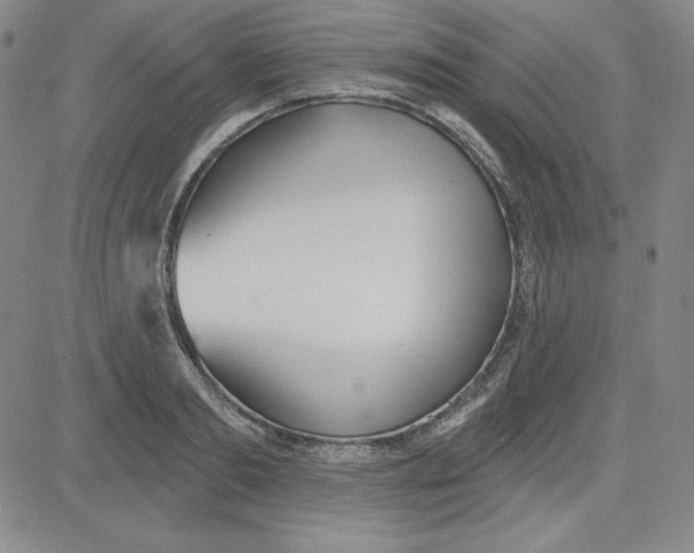 X0000080770893200701021118