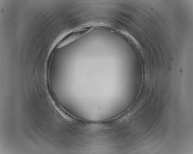 X0000080770894200701021118