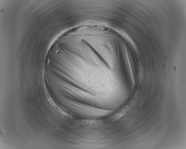 X0000080770896200701021118