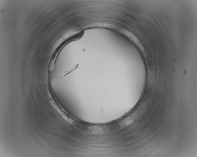 X0000080770898200701021118