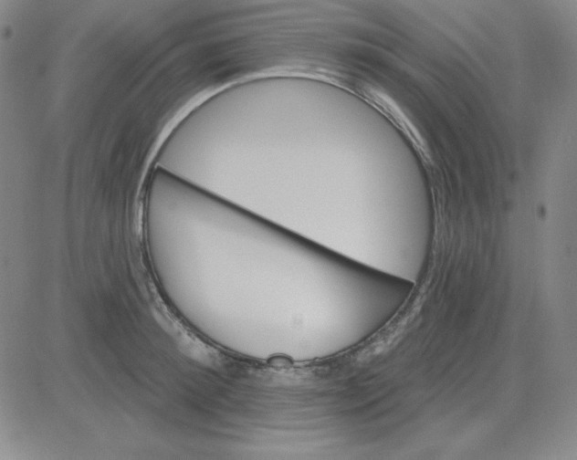 X0000080770900200701021118