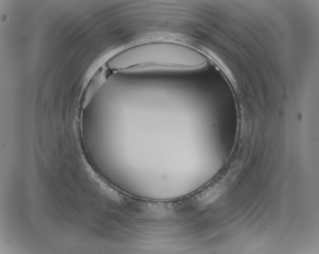 X0000080770901200701021118