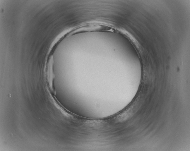 X0000080770902200701021118