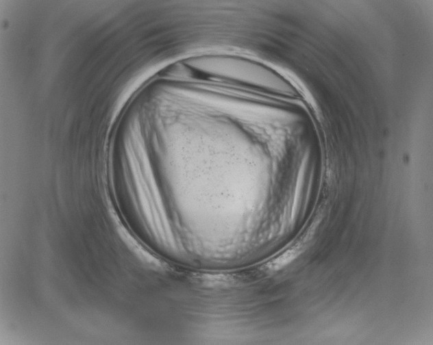 X0000080770903200701021118