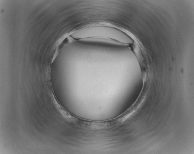 X0000080770905200701021118