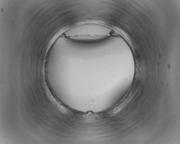 X0000080770906200701021118