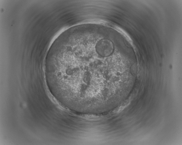 X0000080770907200701021118