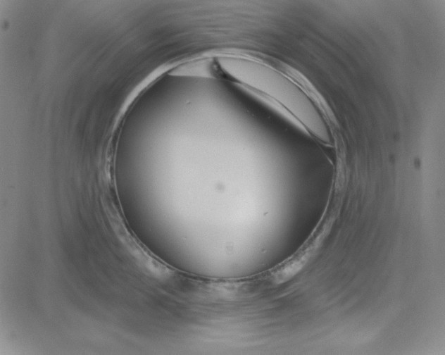 X0000080770908200701021118