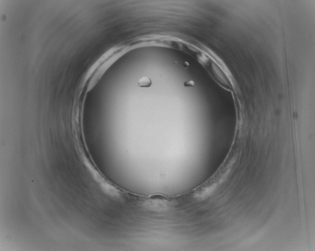 X0000080770909200701021118