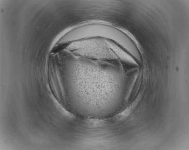 X0000080770910200701021118