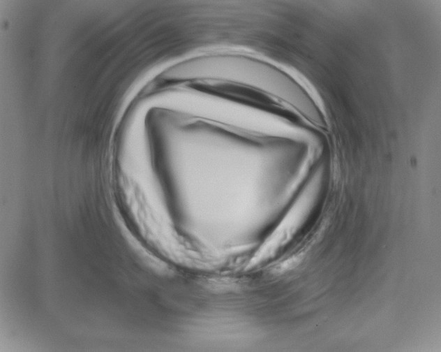 X0000080770911200701021118