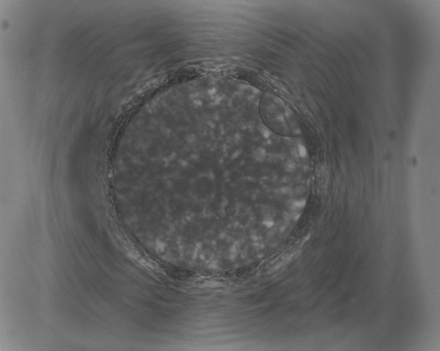 X0000080770913200701021117