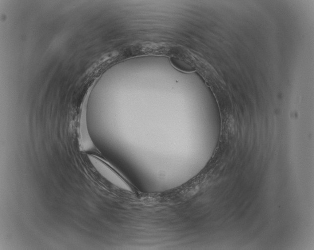 X0000080770914200701021117