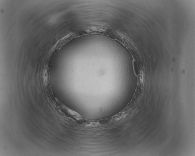 X0000080770915200701021117