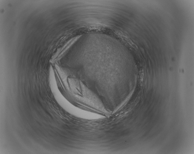 X0000080770916200701021117