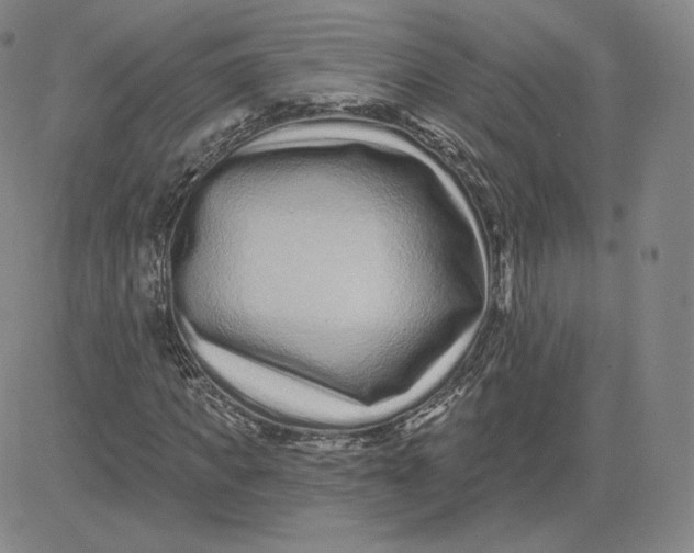 X0000080770917200701021117