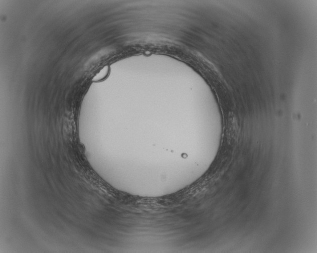 X0000080770918200701021117