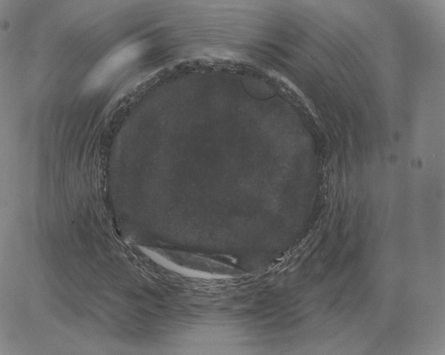 X0000080770919200701021117