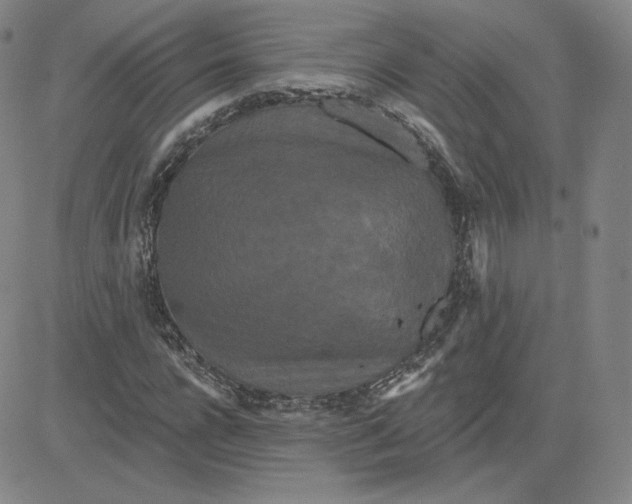 X0000080770920200701021117