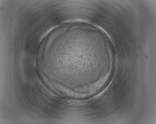 X0000080770921200701021117