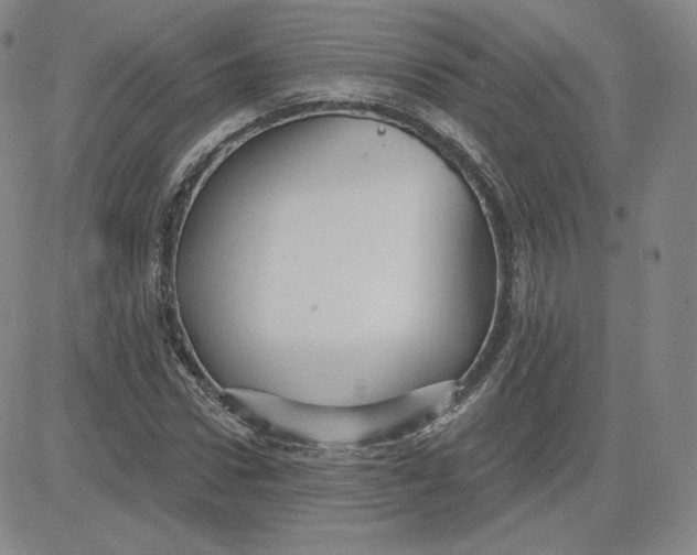 X0000080770922200701021117