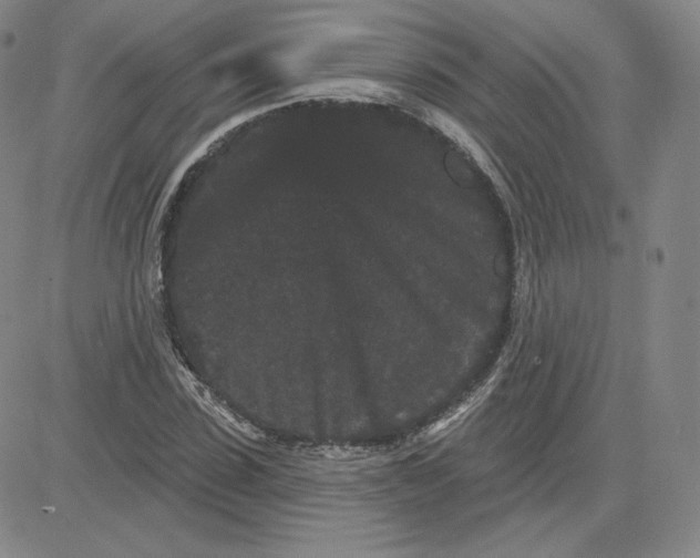 X0000080770923200701021117