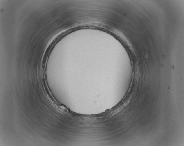 X0000080770924200701021117