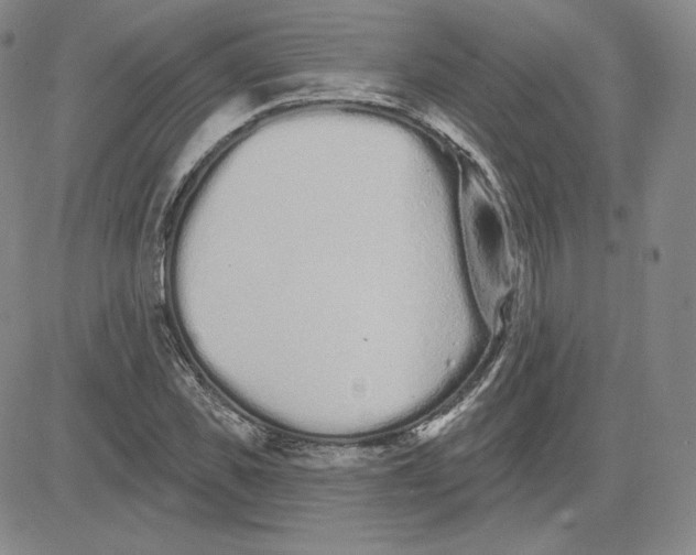 X0000080770925200701021117