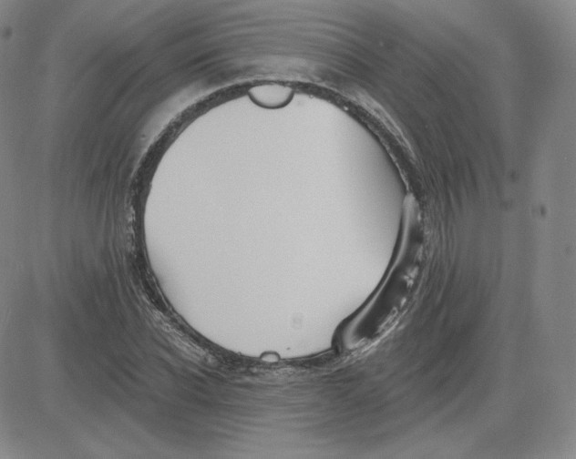 X0000080770926200701021117