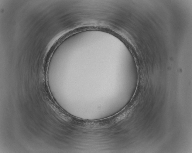 X0000080770927200701021117