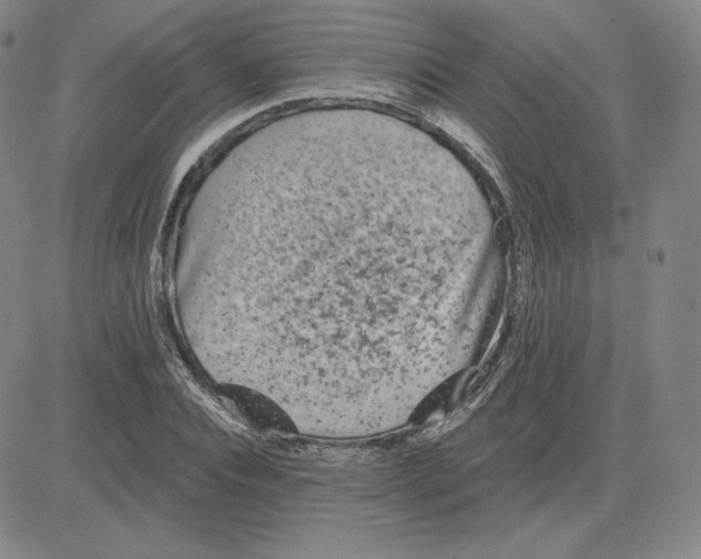 X0000080770928200701021117