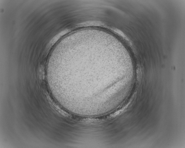 X0000080770929200701021117