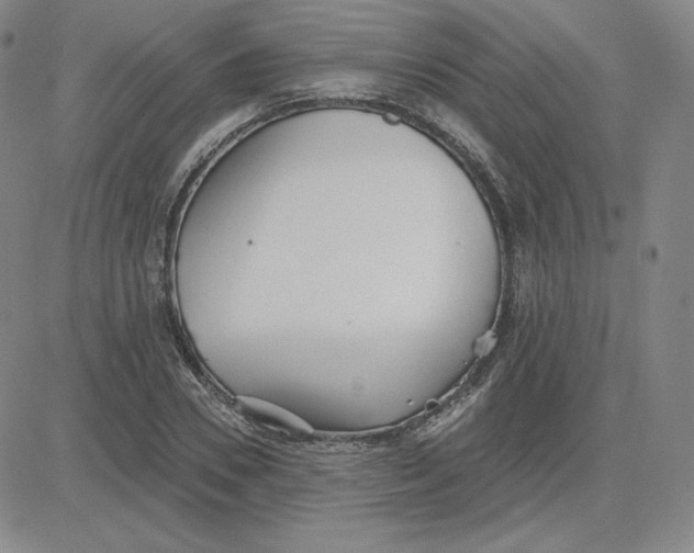 X0000080770930200701021117