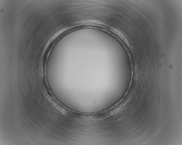 X0000080770931200701021117