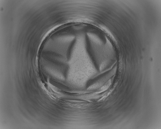 X0000080770932200701021117